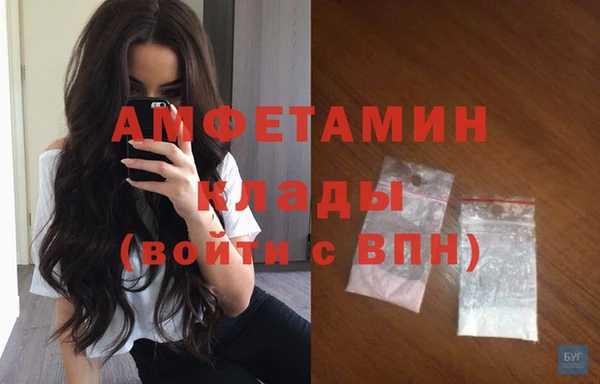 твердый Арсеньев