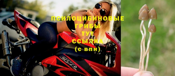 стаф Армянск