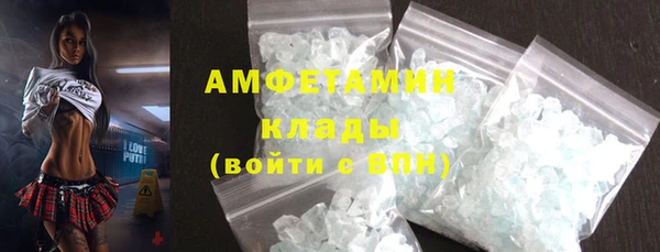 твердый Арсеньев