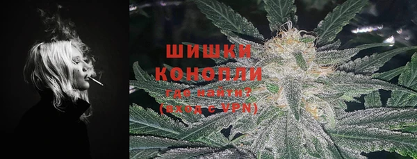 твердый Арсеньев