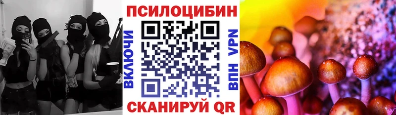дарнет шоп  Североморск  Псилоцибиновые грибы Psilocybe 